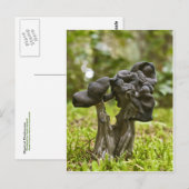 Mystieke paddenstoelen briefkaart (Voorkant / Achterkant)