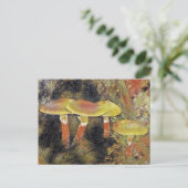 Mystieke paddenstoelen briefkaart (Staand voorkant)