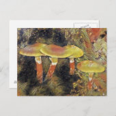 Mystieke paddenstoelen briefkaart (Voorkant / Achterkant)