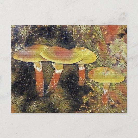 Mystieke paddenstoelen briefkaart (Voorkant)