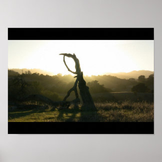 Mystieke revisie - Poster