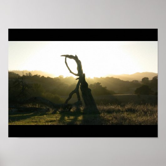 Mystieke revisie - Poster (Voorkant)