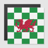 Mystieke Rode Keltische Draak Vlag van Wales (Voorkant / Achterkant)