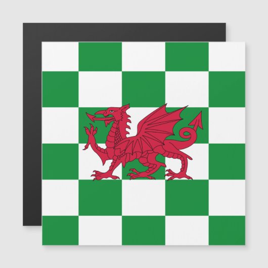Mystieke Rode Keltische Draak Vlag van Wales (Voorkant / Achterkant)