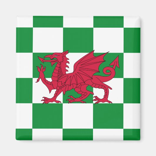 Mystieke Rode Keltische Draak Vlag van Wales Magneet (Voorkant)