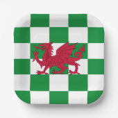 Mystieke Rode Keltische Draak Vlag van Wales Papieren Bordje (Voorkant)