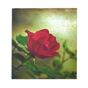 Mystieke tuin Gotische Valentijnsdag Red Rose Notitieblok