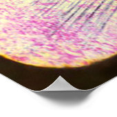 Mystieke vrouwen en bomen Silhouette Poster (Hoek)