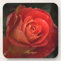 Mystique Donkere Botanische Rode Oranje Rozen Onde