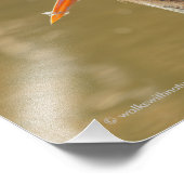 Mystique van de Grote Blauwe Heron Foto Afdruk (Hoek)