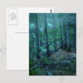 Mystisch bos briefkaart (Voorkant / Achterkant)