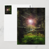 Mystisch bos briefkaart (Voorkant / Achterkant)