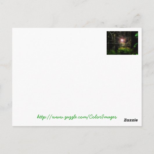 Mystisch bos briefkaart (Achterkant)
