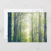 Mystisch bos briefkaart (Voorkant / Achterkant)
