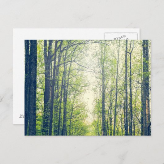 Mystisch bos briefkaart (Voorkant / Achterkant)