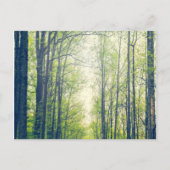 Mystisch bos briefkaart (Voorkant)