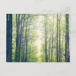 Mystisch bos briefkaart