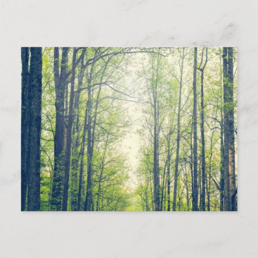Mystisch bos briefkaart (Voorkant)