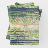 Mystisch bos inpakpapier vel (In situ)