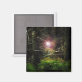 Mystisch bos magneet (Voorkant / Achterkant)
