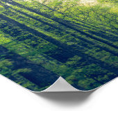 Mystisch bos poster (Hoek)