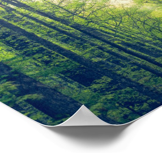 Mystisch bos poster (Hoek)