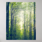 Mystisch bos poster (Voorkant)