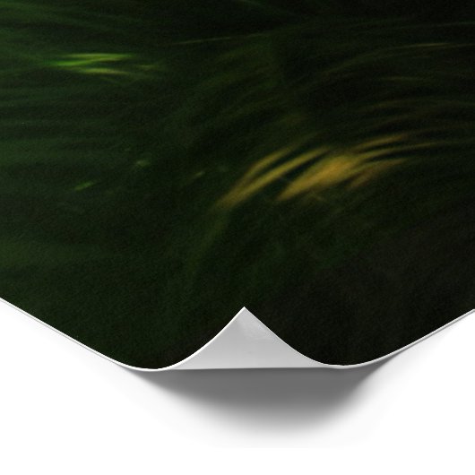 Mystisch bos poster (Hoek)