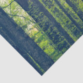 Mystisch bos tissuepapier (Detail)