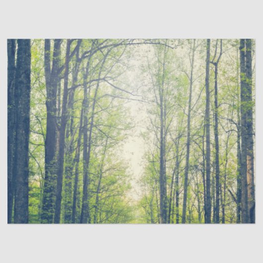 Mystisch bos tissuepapier (Voorkant)