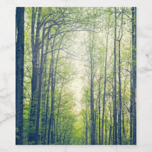 Mystisch bos wijn etiket (Enkel label)