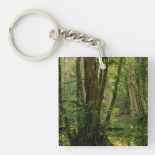 Mystisch Namal Uyana-bos - Oud ijzerhout Sleutelhanger