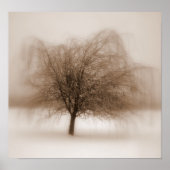 Mystische dromen poster (Voorkant)