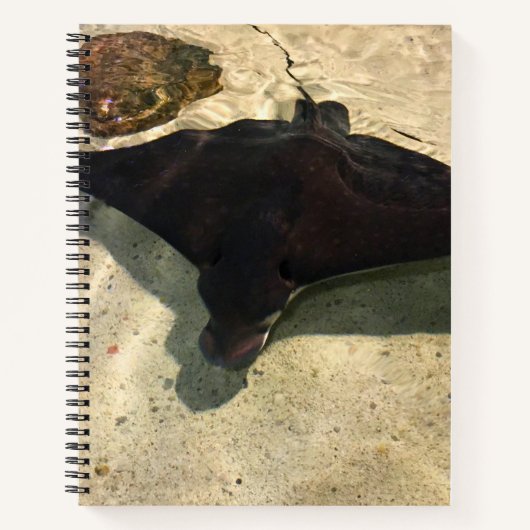 Mystische Pijlrog Notitieboek (Voorkant)