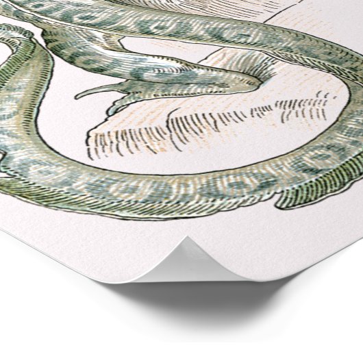 Mythical Lizard Dragon on Rocks, mythologie Poster (Hoek)