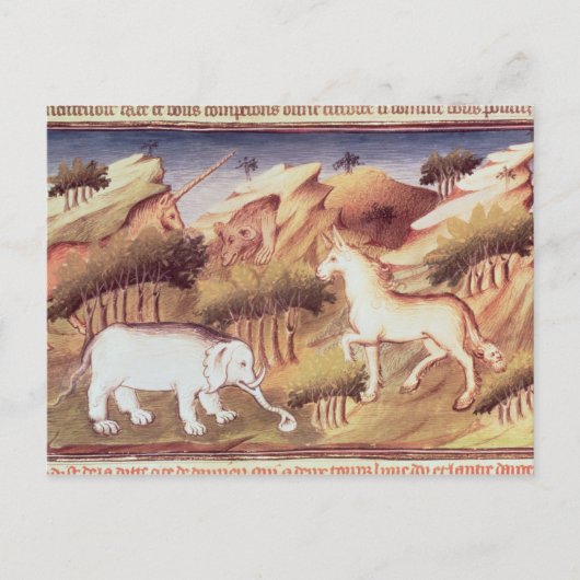 Mythische dieren in de wildernis briefkaart (Voorkant)