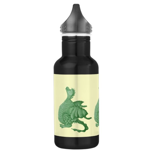 mythische fantasiekertje schattige groene draak waterfles  (Links)