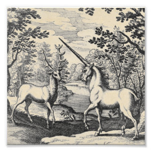 Mythische Unicorn in het bos Foto Afdruk