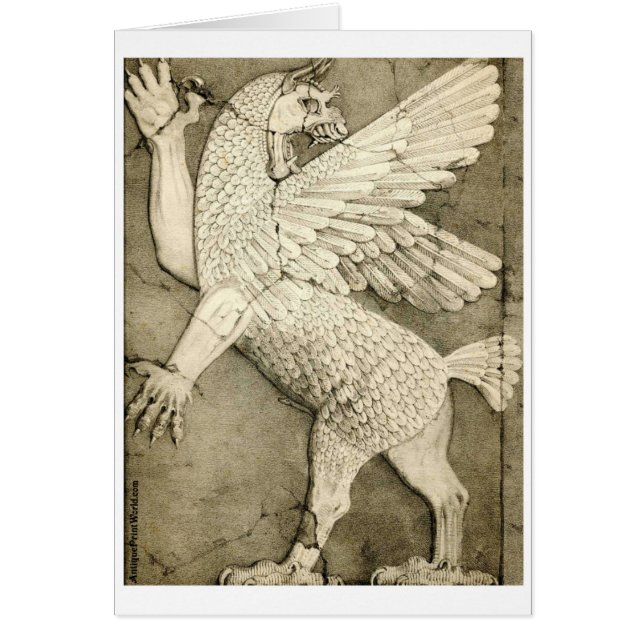 Mythologisch gevlekt cijfer (Voorkant)