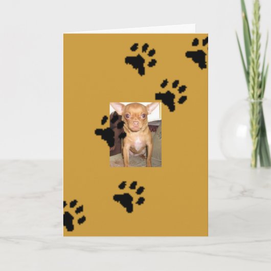 n1033590036_30149730_9405mmmm, Voetafdrukken Kaart (Voorkant)