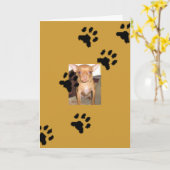 n1033590036_30149730_9405mmmm, Voetafdrukken Kaart (Gele Bloem)