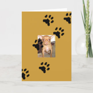 n1033590036_30149730_9405mmmm, Voetafdrukken Kaart