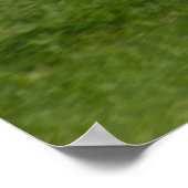 N13958 ERJ-145LR POSTER (Hoek)