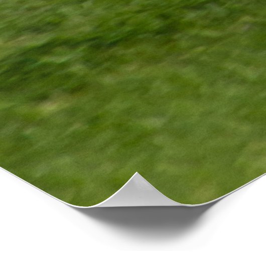 N13958 ERJ-145LR POSTER (Hoek)