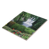 N.A., Canada, British Columbia, Vancouver Tegeltje (Zijkant)