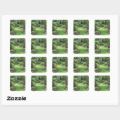 N.A., Canada, Brits-Columbia, Vancouver 4 Vierkante Sticker (Vel)