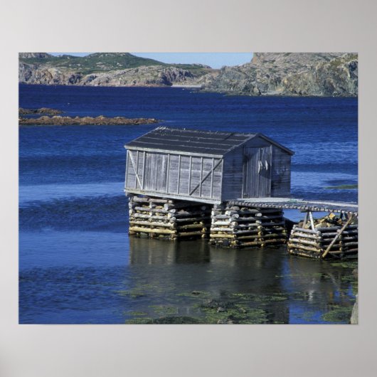 N.A., Canada, Newfoundland, Durrell. Vissen Poster (Voorkant)