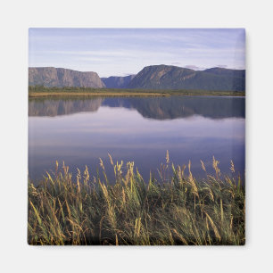 N.A., Canada, Newfoundland, Gros Morne Nationaal Magneet
