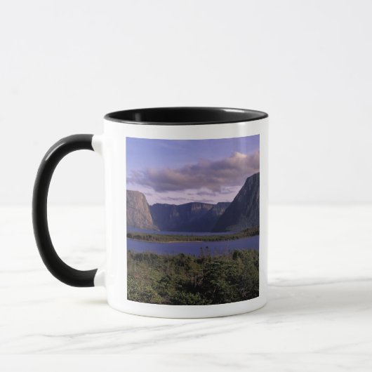 N.A., Canada, Newfoundland, Gros Morne National 2 Mok (Links)