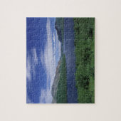 N.A., Canada, Newfoundland, Grose Morne Forel Legpuzzel (Verticaal)